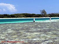 Fishing Cayo Paredon